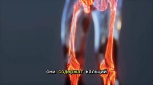 Сладости, укрепляющие сердце, лучшие десерты для серд?