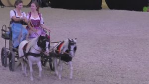 конные повозки