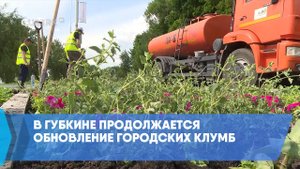 В Губкине продолжается обновление городских клумб