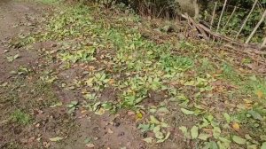 Обзор села, Кайтагский район, Сулипа