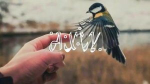 Axiy нашид /🥀🩹 marrat sinin  🥀🩹 самая красивая нашида  🩹🎶