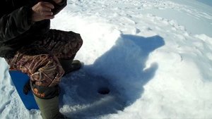 Небольшая рыбалка.