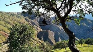 Овози модкавг  dişi keklik sesi