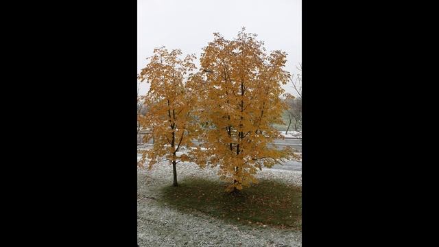 София Ротару - Белая зима