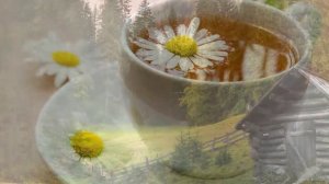 Полуживая рысь, шатаясь, зашла ко мне в дом и рухнула у порога