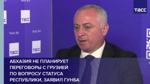 Абхазия не планирует переговоры с Грузией по вопросу статуса республики, заявил Гунба