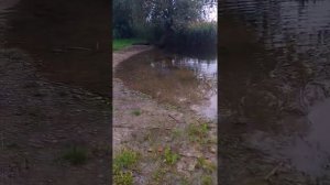 1000074526.mp4