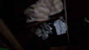 Открытие DVD-диска Ёжик плюс Черепаха (1981)