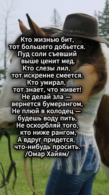 Мудрость Омара Хайяма смотреть онлайн