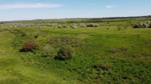 Инвестиционный земельный участок под сх производство Саратов (Малый Участок)