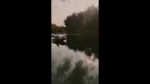 Гибрид Ветерок 8 lifan 1p75.