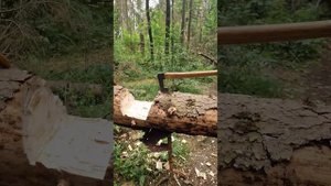 С собакой Оззи в лесу/Расчищаю завал топором/Бушкрафт/