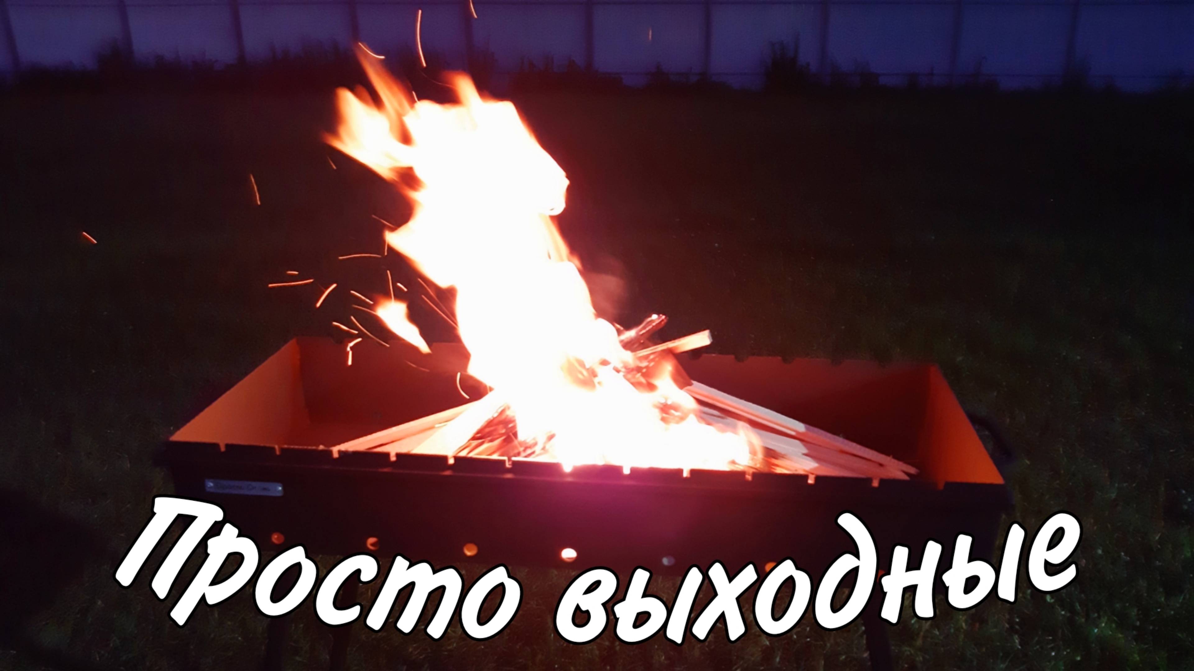 Утепление входной двери. Сажаю саженцы плодовых деревьев попытка 2.