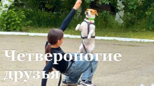 Луганские кинологи продемонстрировали выступления собак для школьников