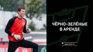 Чёрно-зелёные в аренде #13