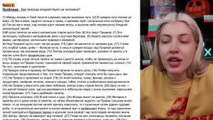 Пишу идеальные сочинения ЕГЭ | Русский с Верой ЕГЭ Flex