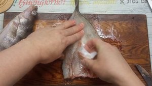 Как засолить судака, берша. Лучший рецепт соленого хищ