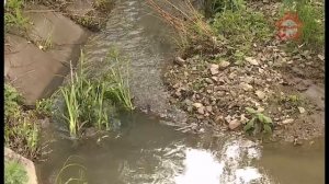 Сухой ручей очистят от мусора до конца июля этого года