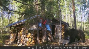 Медвежий угол. Осень 22.