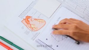 ПОПУЛЯРНЫЕ ШКОЛЬНЫЕ ПРИНАДЛЕЖНОСТИ, КОТОРЫЕ МОЖНО СДЕЛАТЬ САМОСТОЯТЕЛЬНО