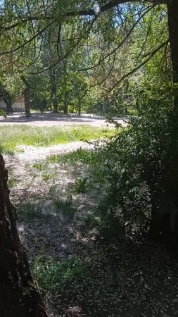 1000002116.mp4