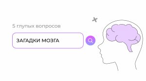 Как жить с половиной мозга: 5 глупых вопросов