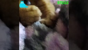 Мой король!!!