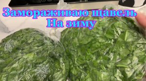 Замораживаю щавель на зиму! Муж пришел с больницы!😳😜