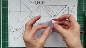 Мордочка медведя