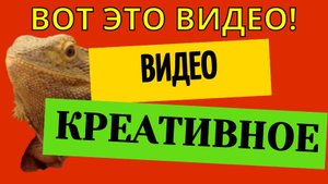Креативное видео