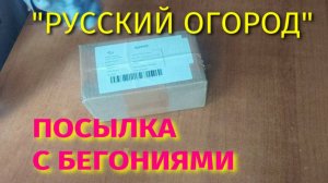 НОВЫЕ БЕГОНИИ В МОЕЙ КОЛЛЕКЦИИ.