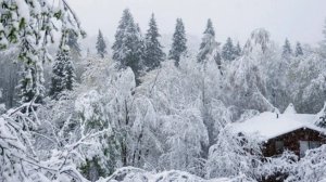 Резкое похолодание и метели обрушились на Бурятию после аномальной жары и природных пожаров
