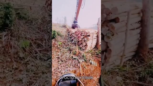 Лесозаготовка
