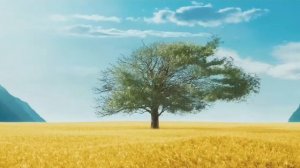 Милые кости ( Lovely Bones ) 2009