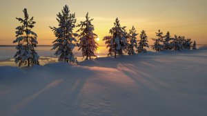 «Под северным небом Печоры» песня