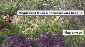 ОДНА ЛЮБОВЬ — ОДНА ПЛАНЕТА | Медитация Мира и Космического Сердца
