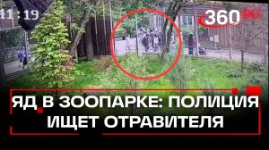Неизвестные таблетки. Полиция расследует попытку отравления животных в Московском зоопарке
