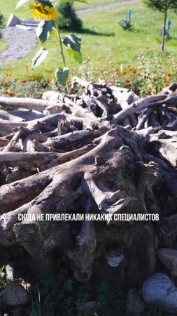 Как сделать максимум на небольшом участке?