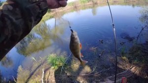 Разведка со спиннингом май 2025