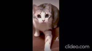 молоко поставь тут на 11 минут