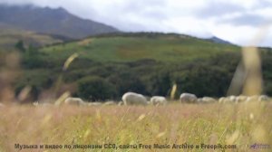 Саунд делает природу ближе, чем когда-либо - We All Know -- Ayato + Kecap Tuyul -- Flowers in the Tr