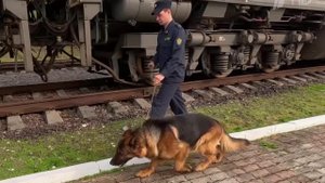 Приморские пограничники контролируют более 1000 километров морской тихоокеанской границы