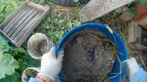 Готовим вкусняшку для растений.