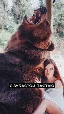 📍Новоуренгойцы устроили фотосессию с медведем #новости
