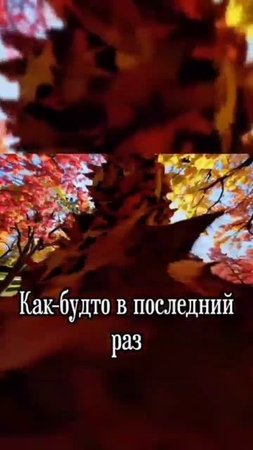 Сaшa Вернер - Падаем в листья