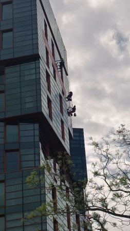 Работники на высоте в Анапе