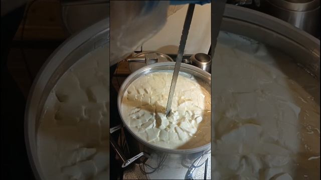 мой сыр канестрато, подробный рецепт, мой телеграмм ка