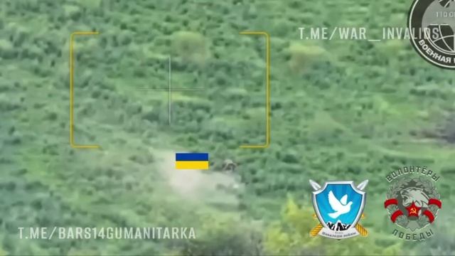 🔴Одного хряка скосило очередью🔴