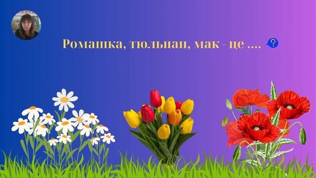 Дидактична гра “Квітка, кущ, дерево, кімнатна рослина?