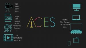 11. ACES